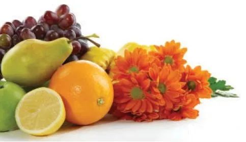 香精与香料(26)—聊聊芳樟醇