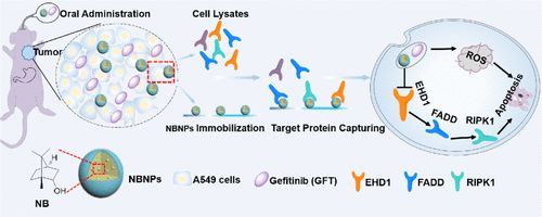 香精与香料(31)—龙脑