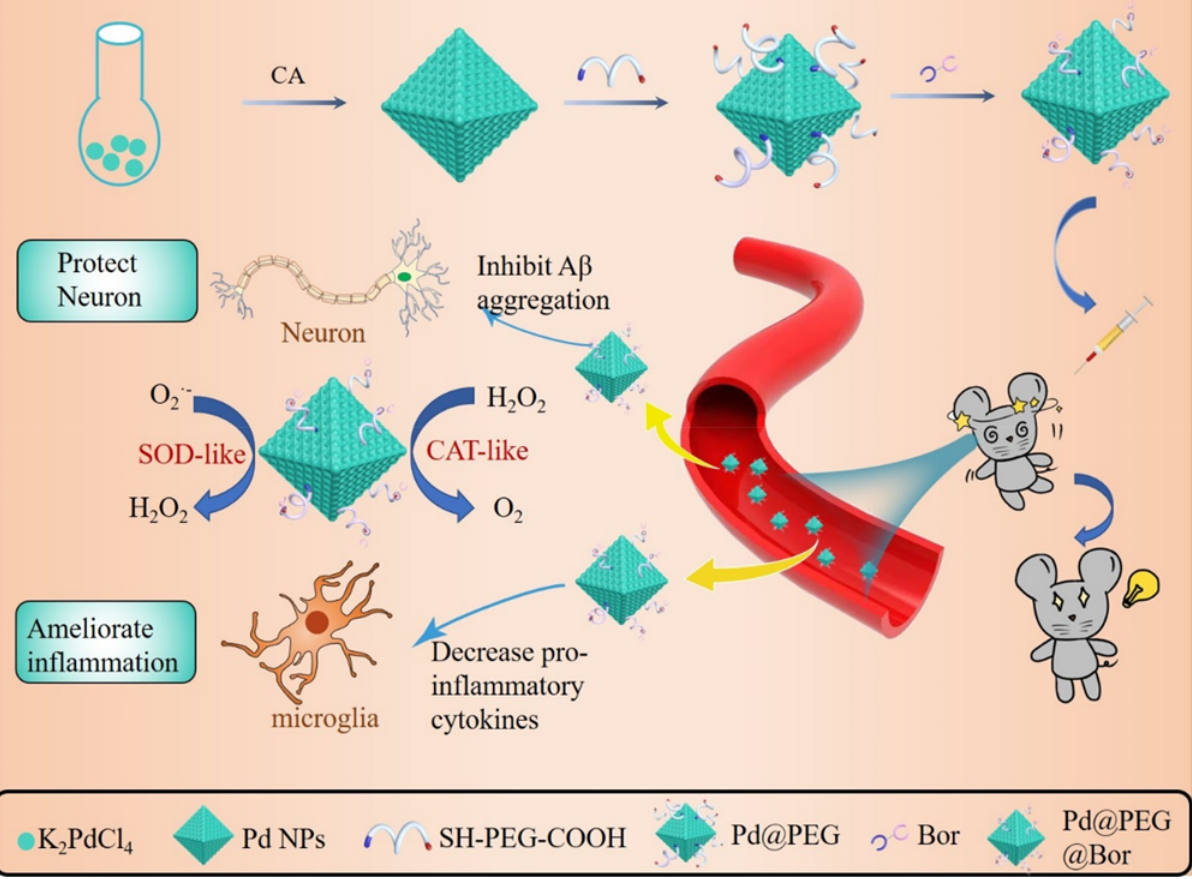 香精与香料(31)—龙脑