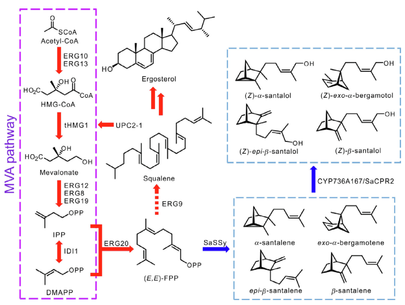 香精与香料(32)—檀香醇