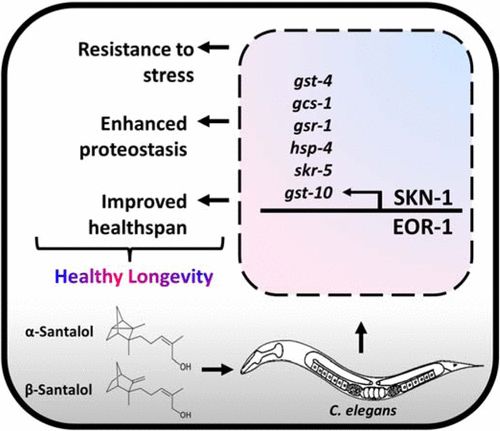 香精与香料(32)—檀香醇