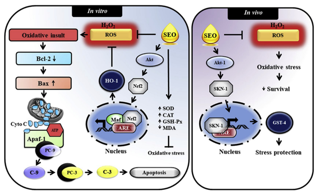 香精与香料(32)—檀香醇