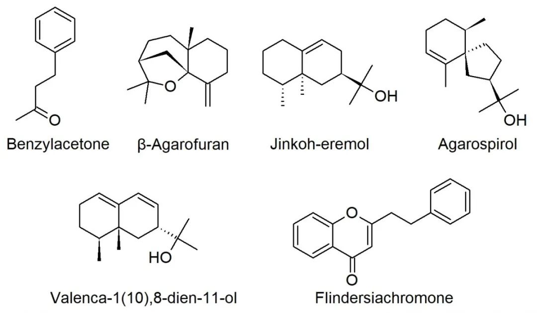 香精与香料(33)—沉香螺醇与沉香油