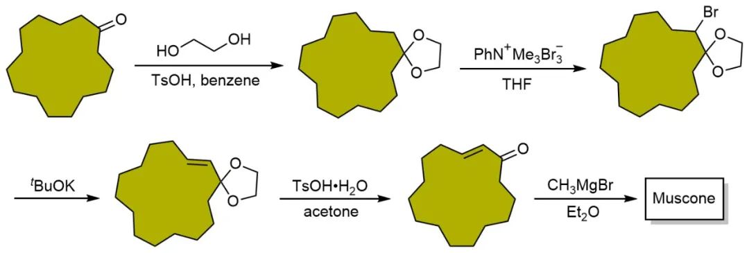香精与香料(34)—麝香酮与麝香