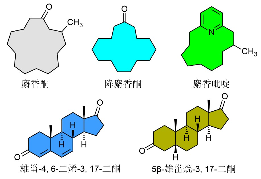 香精与香料(34)—麝香酮与麝香