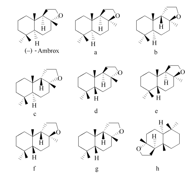 香精与香料(35)—降龙涎醚与龙涎香