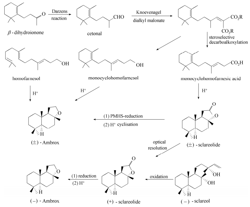 香精与香料(35)—降龙涎醚与龙涎香