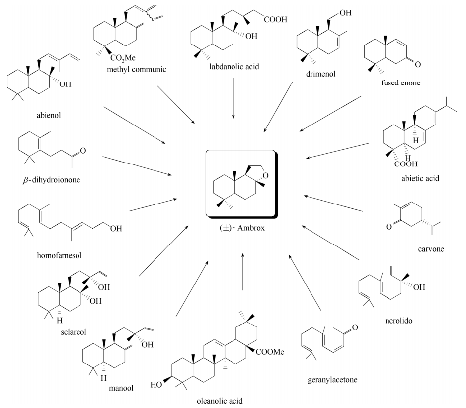 香精与香料(35)—降龙涎醚与龙涎香