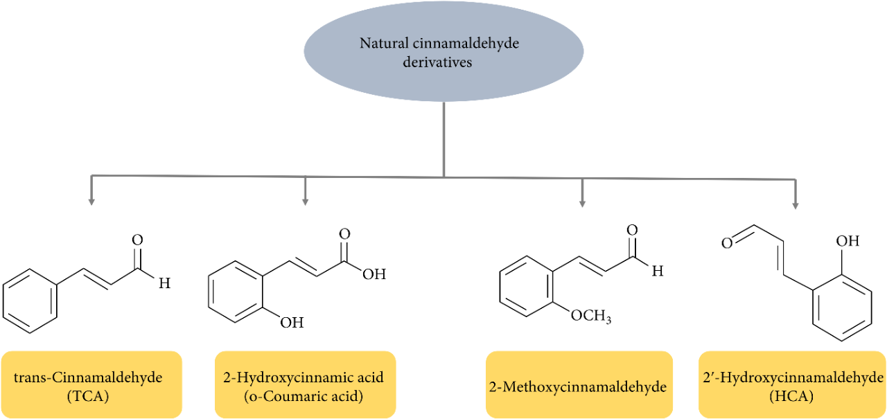 香精与香料(36)—肉桂醛与肉桂