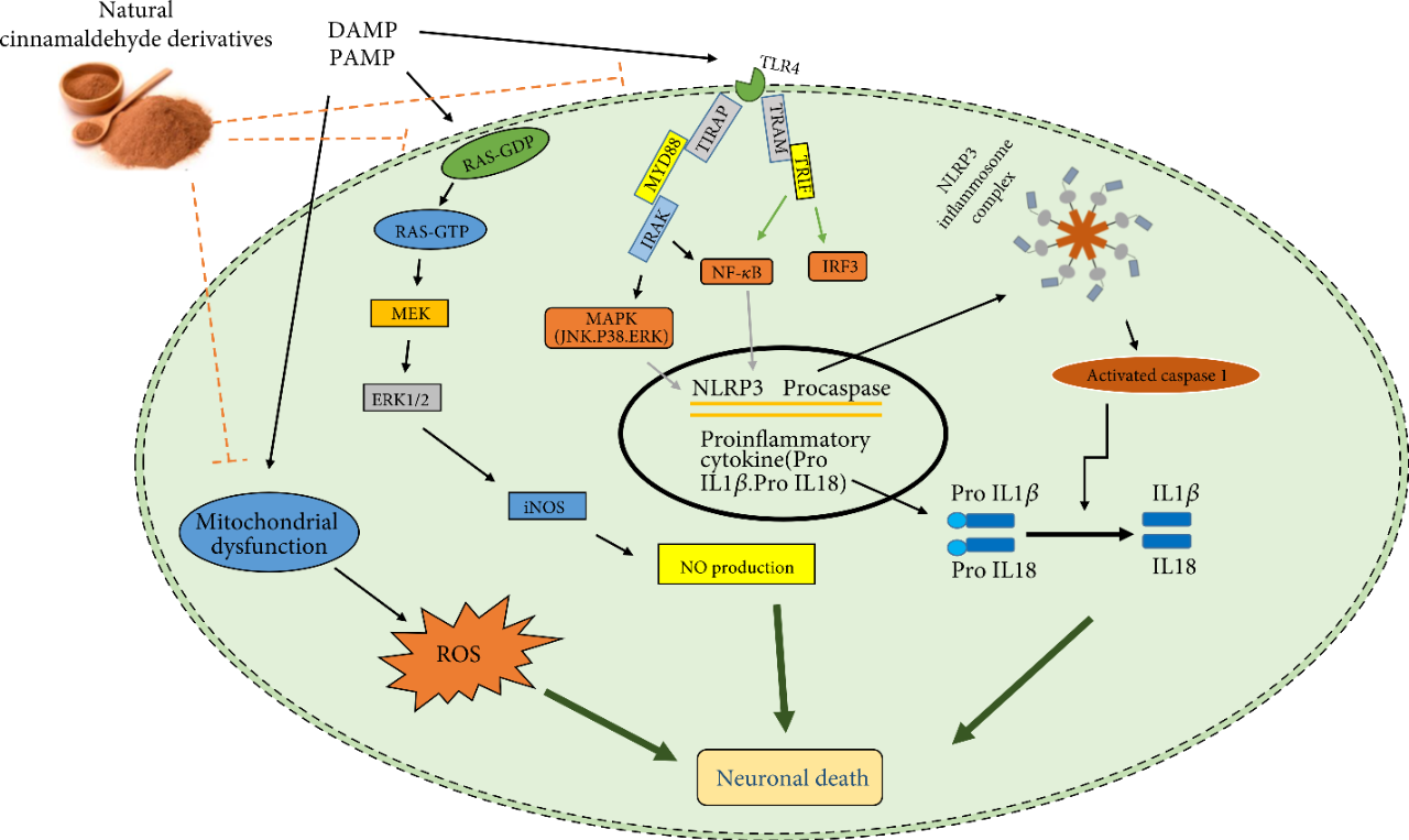 香精与香料(36)—肉桂醛与肉桂