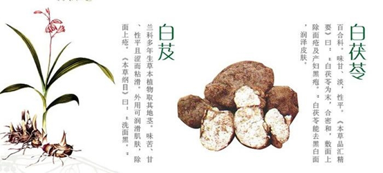 香精与香料(105)—白芨