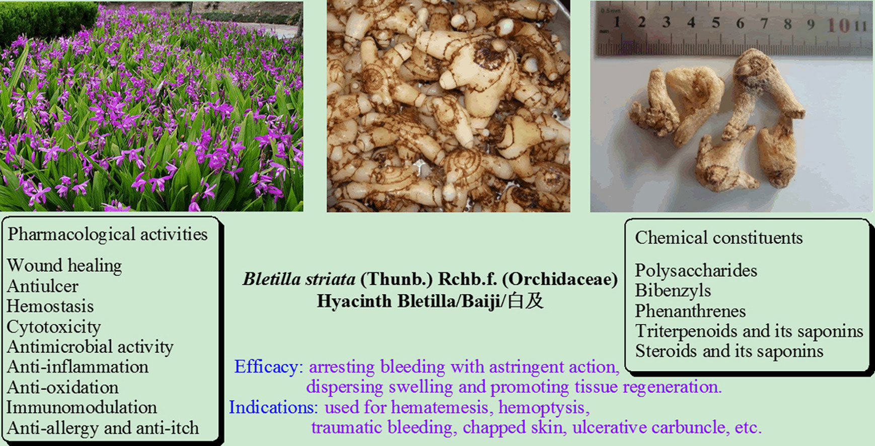 香精与香料(105)—白芨