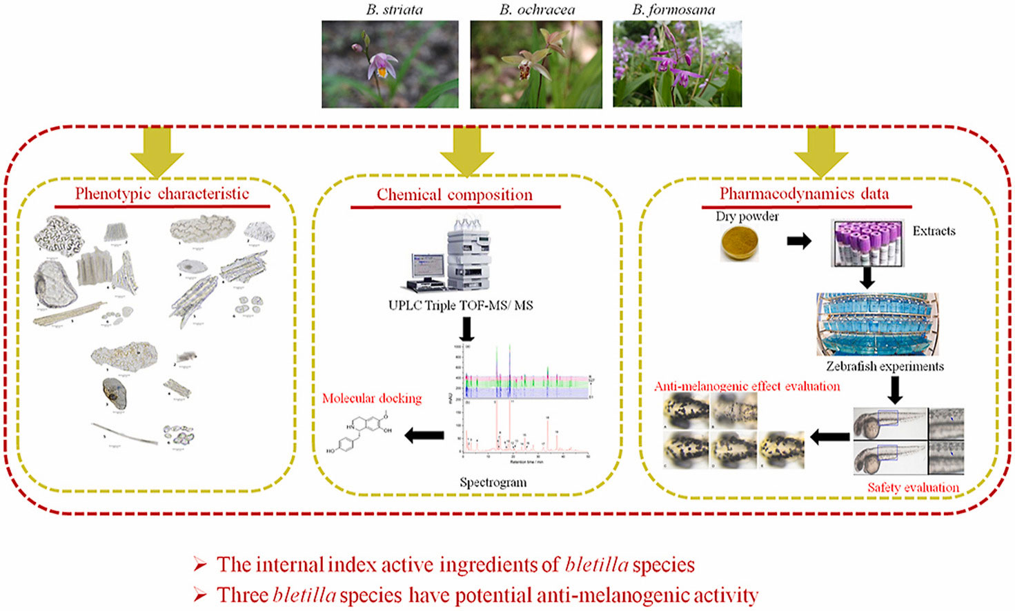 香精与香料(105)—白芨