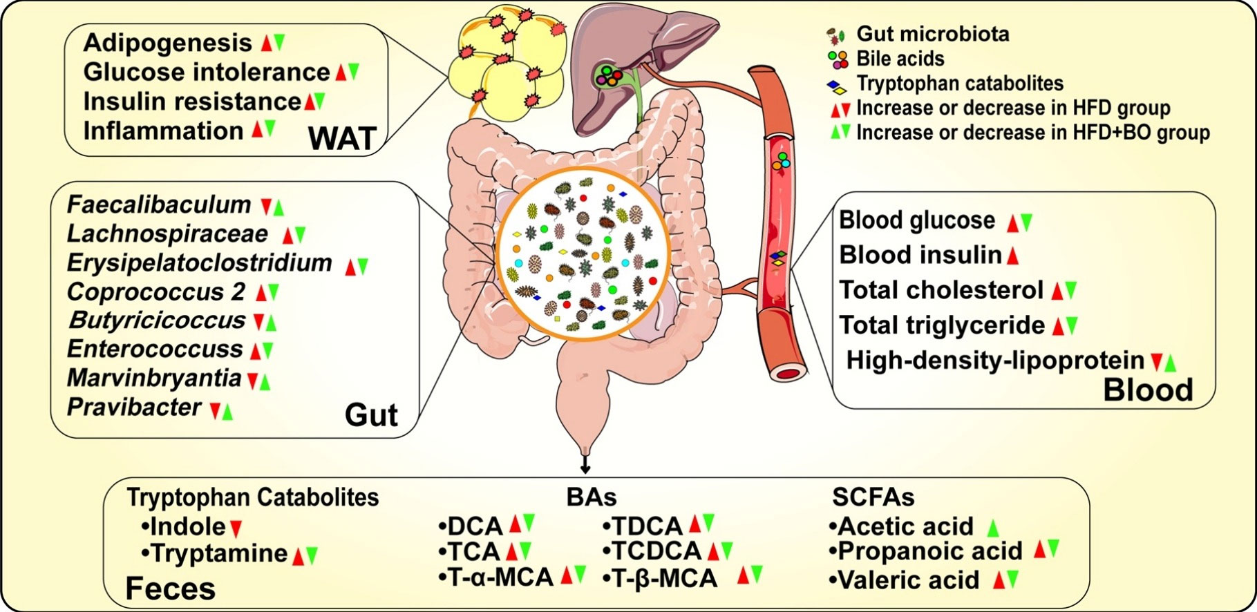 香精与香料(105)—白芨