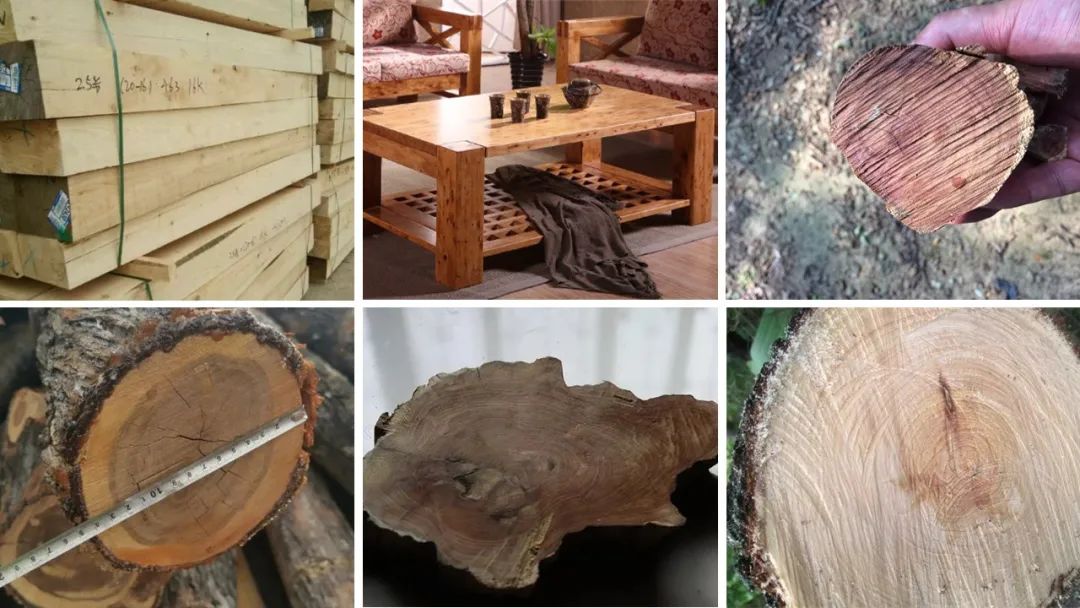 香精与香料(106)—柏木