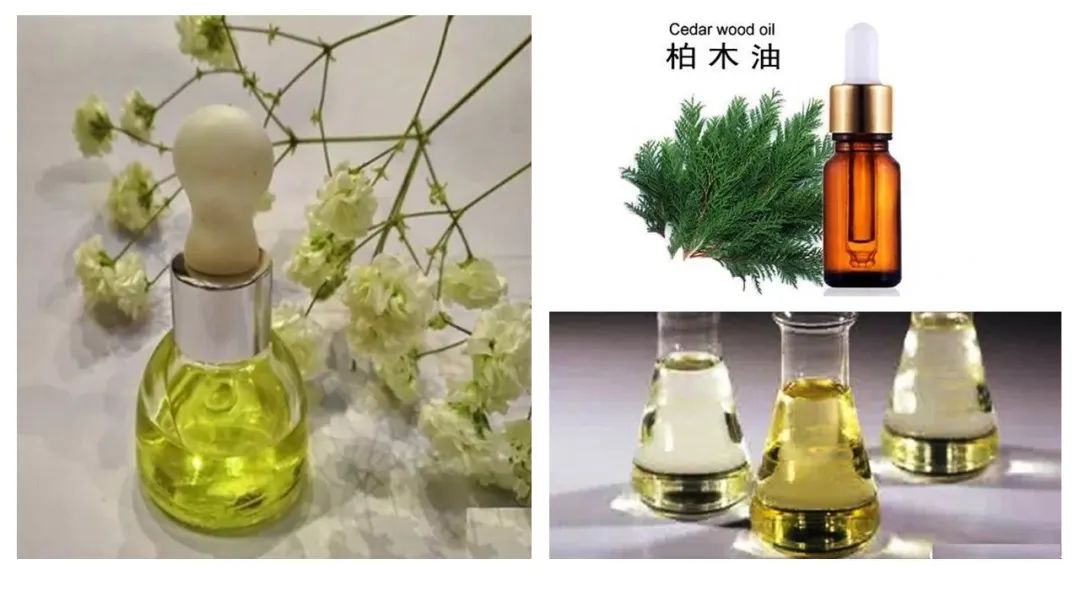香精与香料(106)—柏木