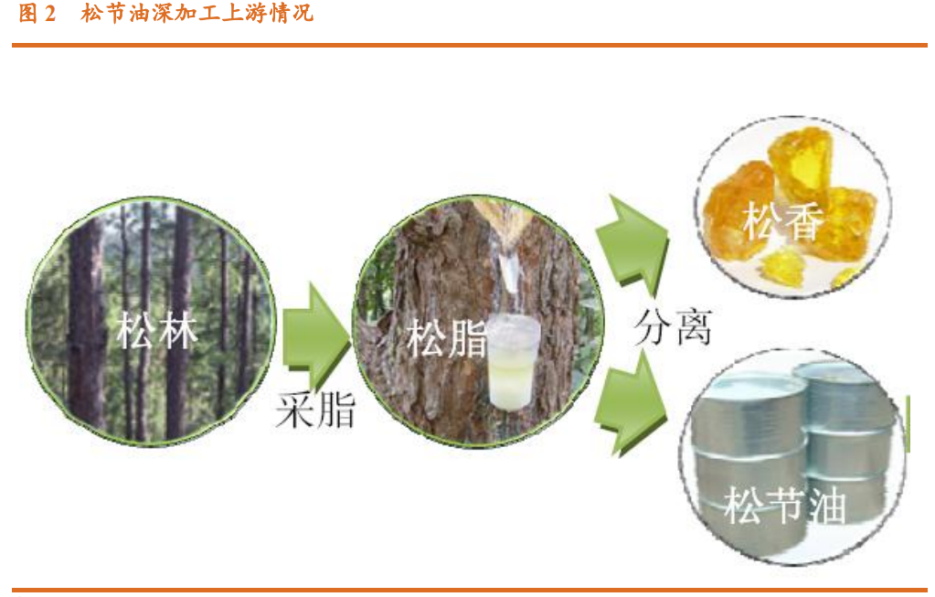 香精与香料(23)-医药中间体和香精香料的林产化学龙头企业