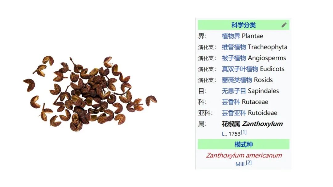香精与香料(156)—花椒